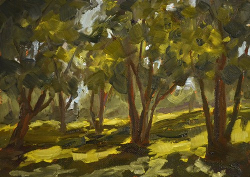 Whispers of Sun & Shadow 5x7 $275 at Hunter Wolff Gallery